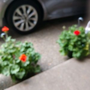 Meet your Posher, Destinee